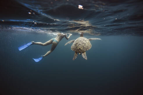 Indonesien, Bali, Unterwasseransicht einer Taucherfrau, die neben einer einsamen Schildkröte schwimmt - KNTF03466