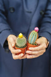 Woman's hands holding cacti in plant nursery - DLTSF00167