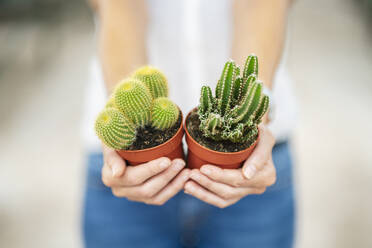 Woman's hands holding cacti in plant nursery - DLTSF00169