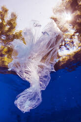 Im Wasser schwimmende Plastiktüte - STBF00405