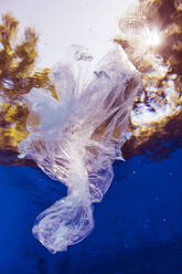 Plastic bag floating in water - STBF00405