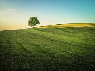 Scenic view of grassy hill against sky during sunset, Bavaria, Germany - FCF01810