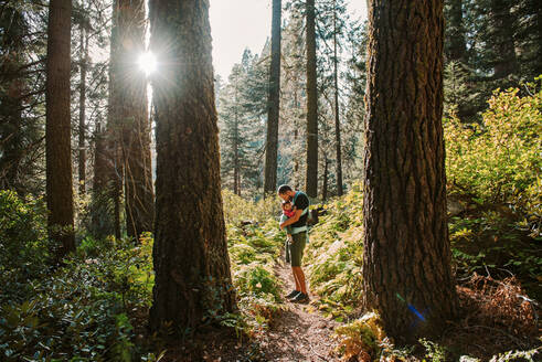 Father kissing baby girl in carrier in the forest at sunset, Sequoia National Park, California, USA - GEMF03162