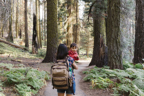 Mutter hält ein kleines Mädchen im Wald im Sequoia National Park, Kalifornien, USA - GEMF03173