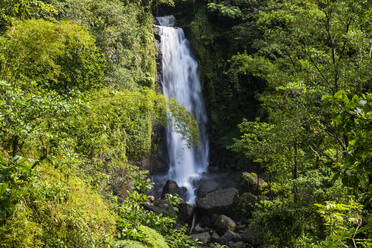 Blick auf die Trafalgar Falls im Morne Trois Pitons National Park, Dominica, Karibik - RUNF03255
