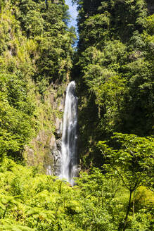 Blick auf die Trafalgar Falls inmitten von Bäumen im Morne Trois Pitons National Park, Dominica, Karibik - RUNF03256