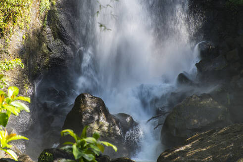 Blick auf die auf Felsen plätschernden Trafalgar Falls im Morne Trois Pitons National Park, Dominica - RUNF03257