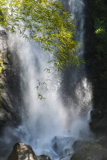Blick auf die auf Felsen plätschernden Trafalgar Falls im Morne Trois Pitons National Park, Dominica, Karibik - RUNF03258