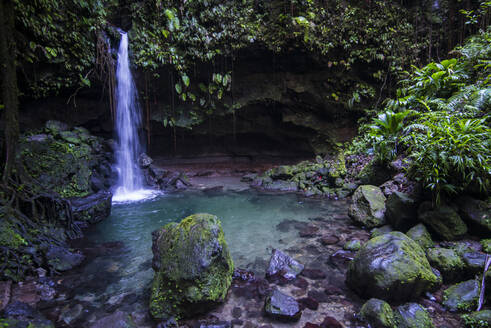 Landschaftlicher Blick auf einen Wasserfall, der im Emerald Pool im Wald plätschert, Dominica, Karibik - RUNF03259