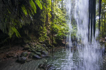 Blick auf den plätschernden Wasserfall im Emerald Pool im Wald, Dominica, Karibik - RUNF03260