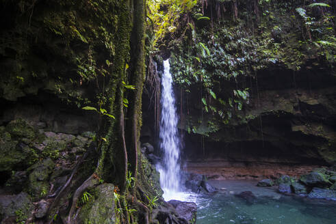 Blick auf den plätschernden Wasserfall im Emerald Pool, Dominica, Karibik - RUNF03261