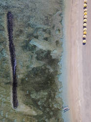 Luftaufnahme eines Strandes auf Bali, Indonesien - KNTF03484