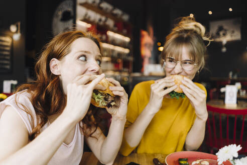 Two female friends eating burger in a restaurant - KNSF06664