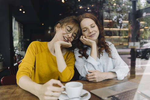 Two female friends relaxing with laptop in a cafe - KNSF06666