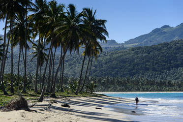 Palmen, die am Strand vor den Bergen wachsen, Playa Rincon, Dominikanische Republik - RUNF03276