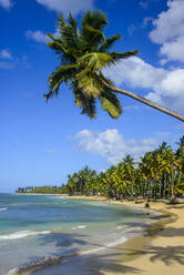 Scenic view of Casablanca beach against blue sky, Las Terrenas, Dominican Republic - RUNF03281