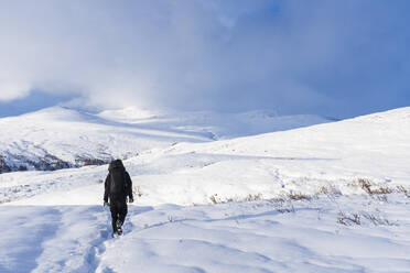 Hiker in winter mountains - JOHF01034
