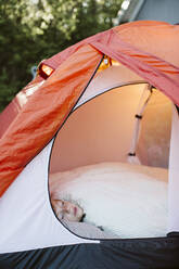 Girl sleeping in tent - JOHF01169