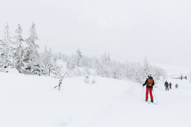 Skifahrer in den Bergen - JOHF01241