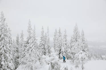 Skifahrer im Wald - JOHF01252