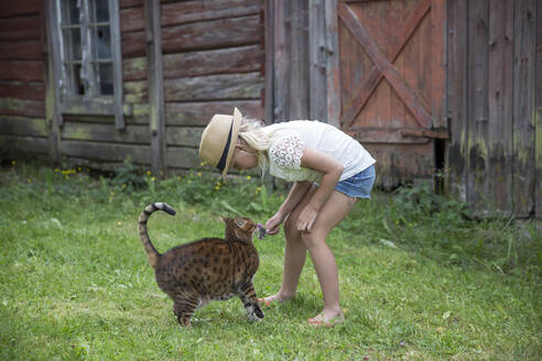 Mädchen spielt mit Katze - JOHF01292