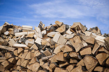 Stack of wood - JOHF01301