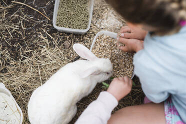 Kinder füttern Kaninchen - JOHF01315