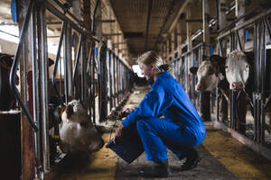 Woman in cowshed - JOHF01321