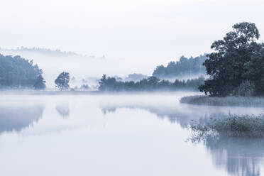 Nebel über dem See - JOHF01382