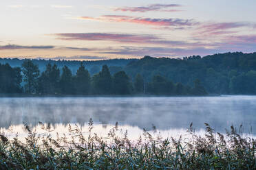 Nebel über dem See in der Morgendämmerung - JOHF01383