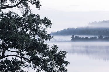 Fog over lake - JOHF01385