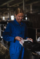 Frau füttert Kuh im Stall - JOHF01422