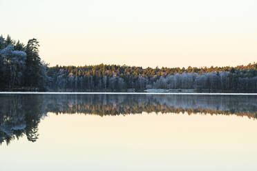 Spiegelung auf dem See - JOHF01452