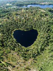 Herzförmiger See, umgeben von Wald - JOHF01460