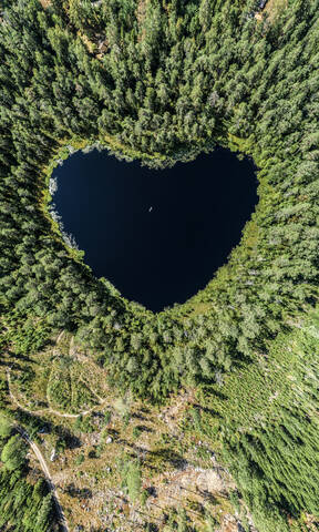 Herzförmiger See, umgeben von Wald, lizenzfreies Stockfoto