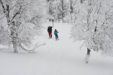 People skiing - JOHF01478