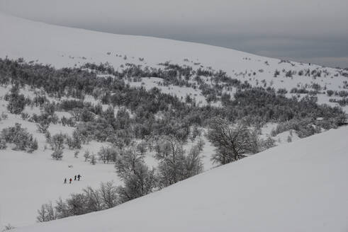 Winterlandschaft - JOHF01480