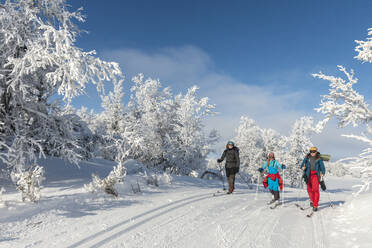 People skiing - JOHF01483