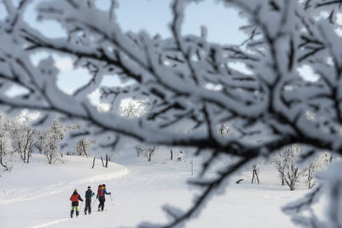 Menschen beim Skifahren - JOHF01486