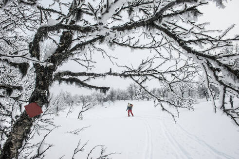 Person beim Skifahren - JOHF01490