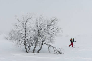 Person beim Skifahren - JOHF01496