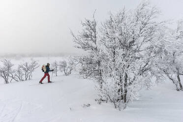 Person beim Skifahren - JOHF01498