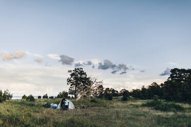 Tent on meadow - JOHF01515