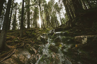 Kleiner Wasserfall im Wald - JOHF01557