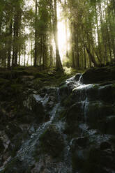 Kleiner Wasserfall im Wald - JOHF01558