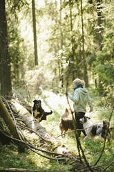 Frau geht mit Hunden im Wald spazieren - JOHF01580