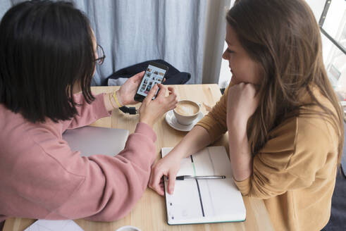 Frauen schauen auf ihr Handy - JOHF01817