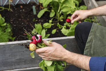 Mann im Garten - JOHF01835