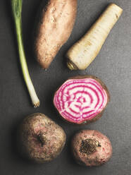 Root vegetables on grey background - JOHF01851