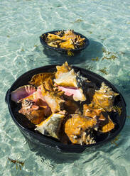 Blick von oben auf schwimmende Muschelköniginnen in Containern auf dem Meer, Five Cays, Providenciales, Turks- und Caicosinseln - RUNF03339